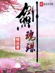 鲤鱼鱼竿套装