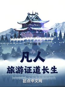 鲤鱼玩全面战争2