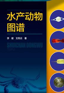 钓鳙鱼首选饵料