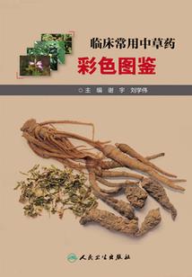 蚂蚱粉钓草鱼用几号钩